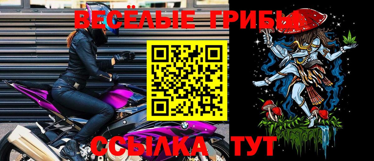 Одинцово  Псилоцибиновые грибы Psilocybine cubensis  Вход с VPN 