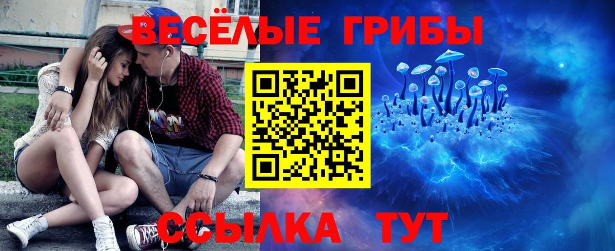 Галлюциногенные грибы Psilocybine cubensis Одинцово